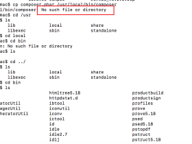解决在MAC上安装composer遇到No such file or directory的问题