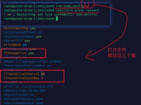 Linux 中使用 SSH 连接总是隔一段时间就会断开该怎么办?