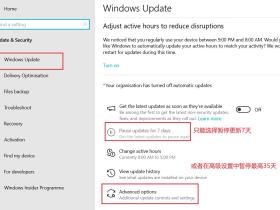 利用 Windows 暂停机制,真正永久停止自动更新功能