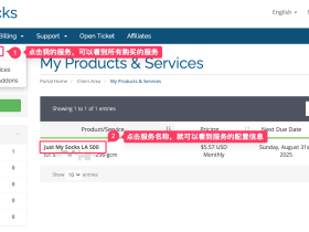 Just My Socks 购买服务后配置教程