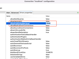 Public Key Retrieval is not allowed 连接 MySQL 数据库报错