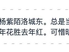 css3一些非常好用的小技巧分享