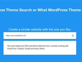 如何查看WordPress网站使用的主题和插件（最新方法）？