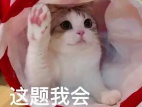 有什么撩女生的情话和表情包?