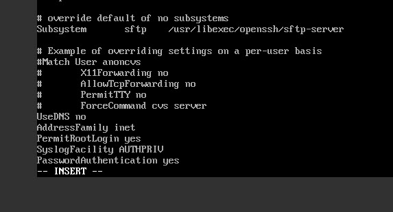 连接linux服务器并修改配置文件
