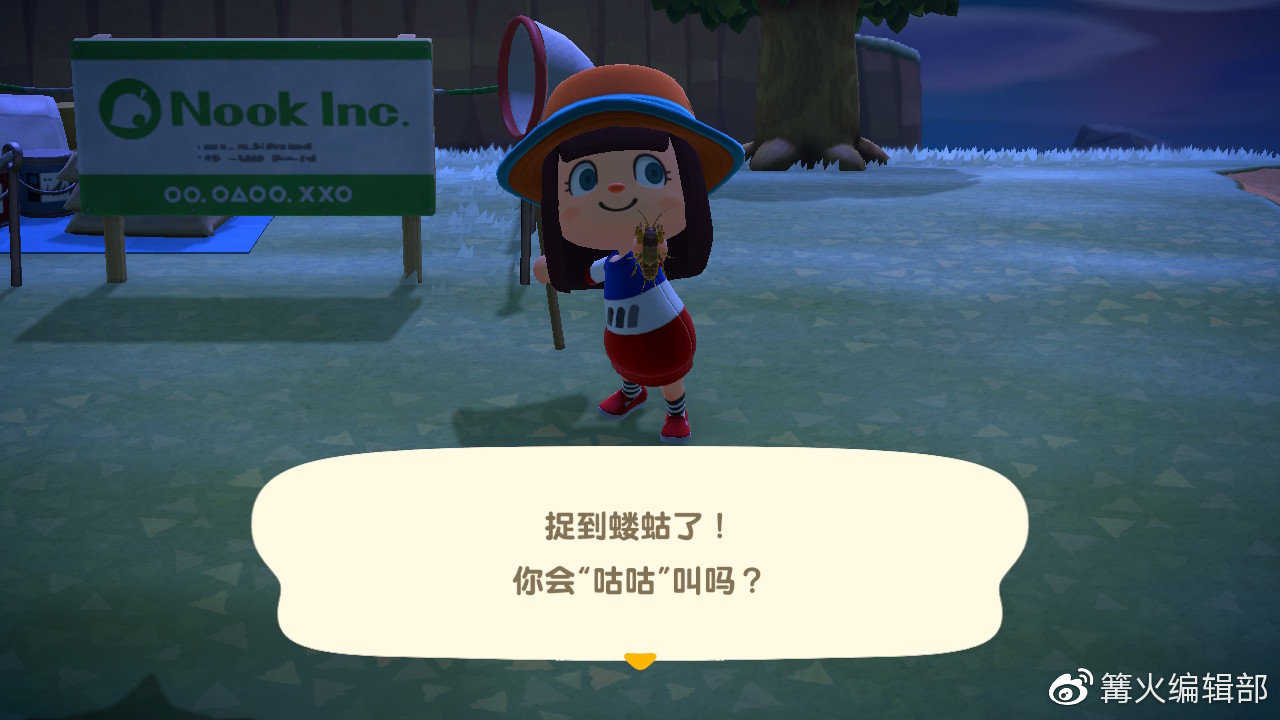 游戏《集合吧！动物森友会》应该怎么玩？有哪些攻略？