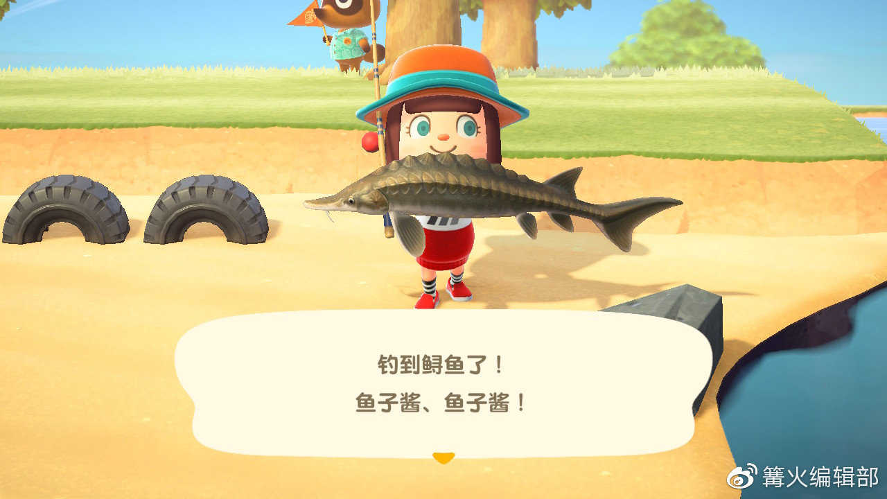 游戏《集合吧！动物森友会》应该怎么玩？有哪些攻略？