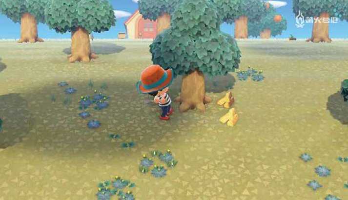 游戏《集合吧！动物森友会》应该怎么玩？有哪些攻略？