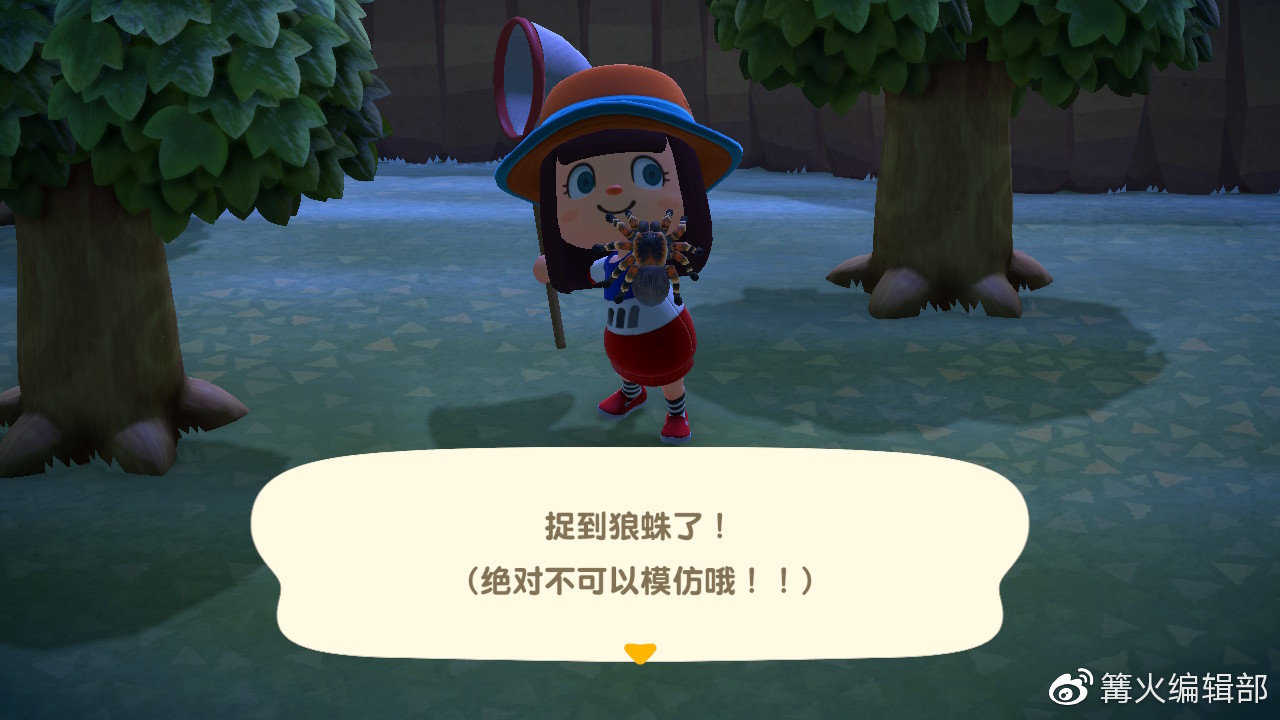 游戏《集合吧！动物森友会》应该怎么玩？有哪些攻略？