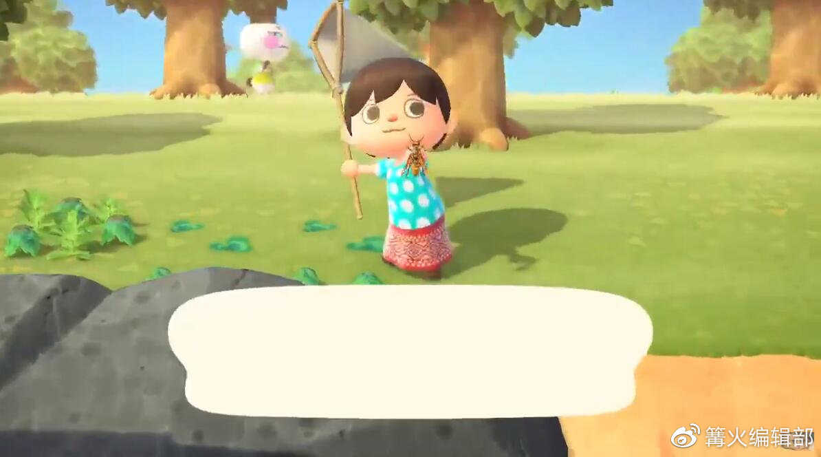 游戏《集合吧！动物森友会》应该怎么玩？有哪些攻略？