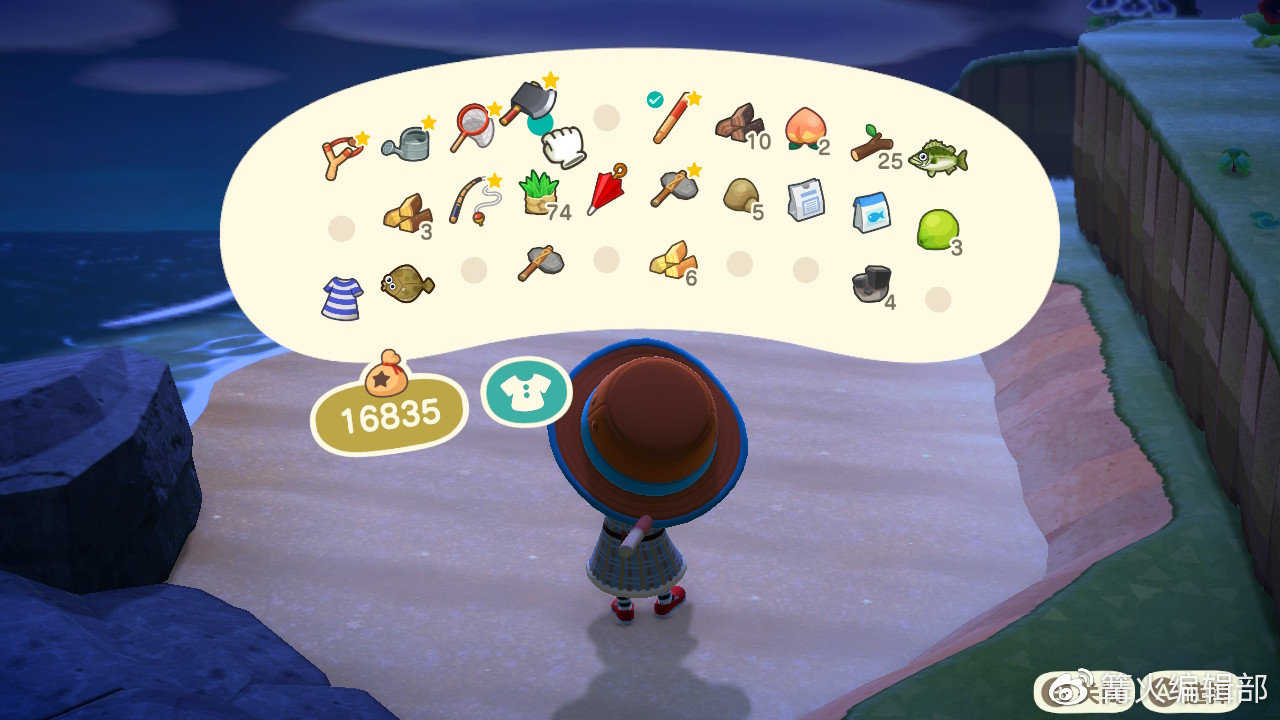 游戏《集合吧！动物森友会》应该怎么玩？有哪些攻略？