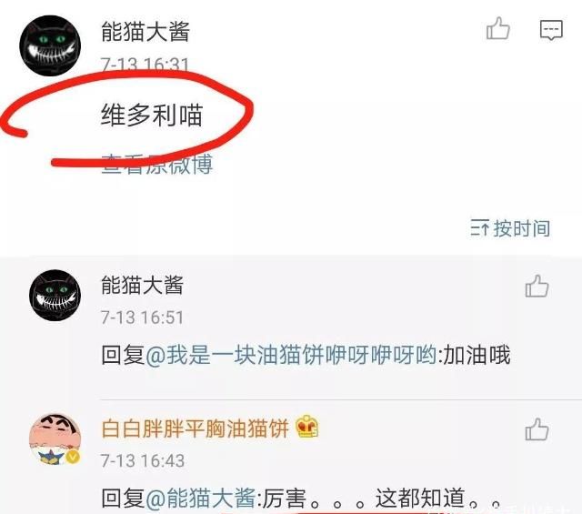 “童颜”油猫饼到底几岁了,小萝莉真的还小吗?