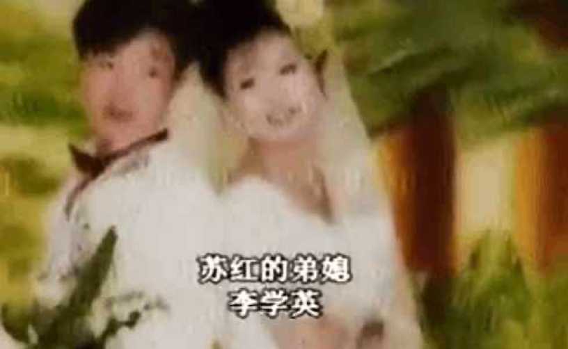 苏红：一起菜窖藏尸案，讲述的是致命女人为何杀人的故事