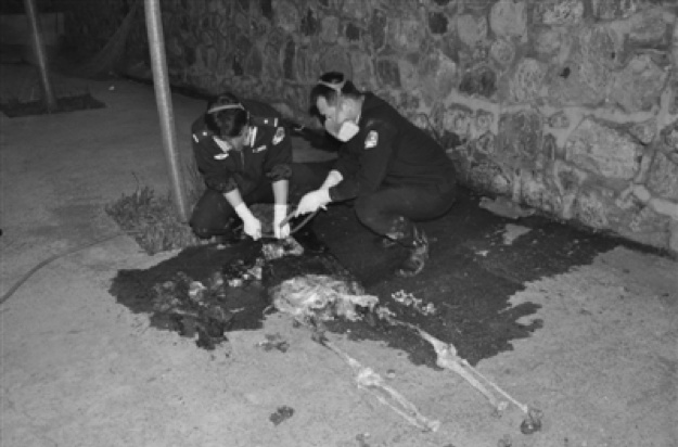 苏红：一起菜窖藏尸案，讲述的是致命女人为何杀人的故事