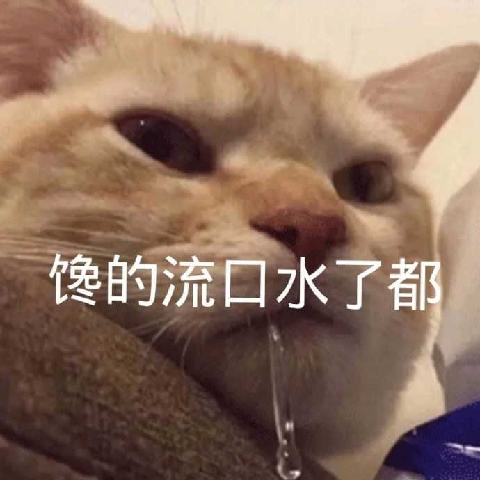 有什么撩女生的情话和表情包?