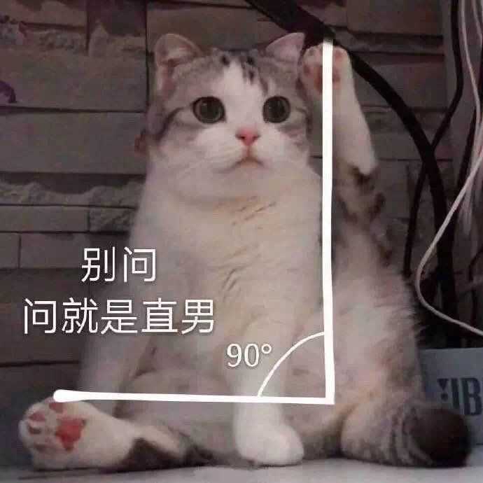 有什么撩女生的情话和表情包?