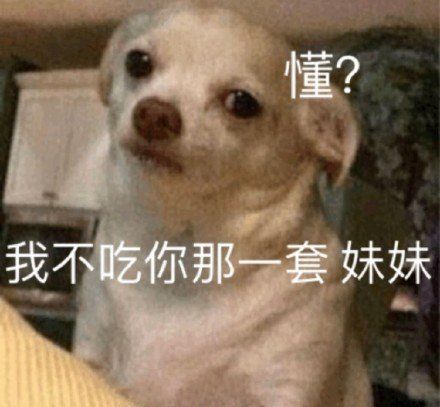 有什么撩女生的情话和表情包?
