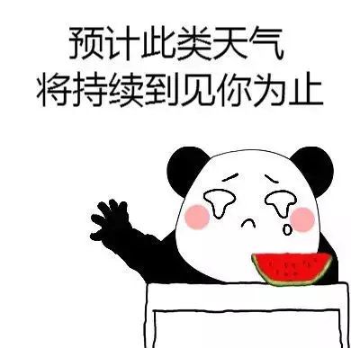 有什么撩女生的情话和表情包?
