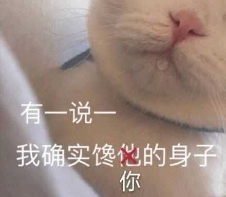 有什么撩女生的情话和表情包?