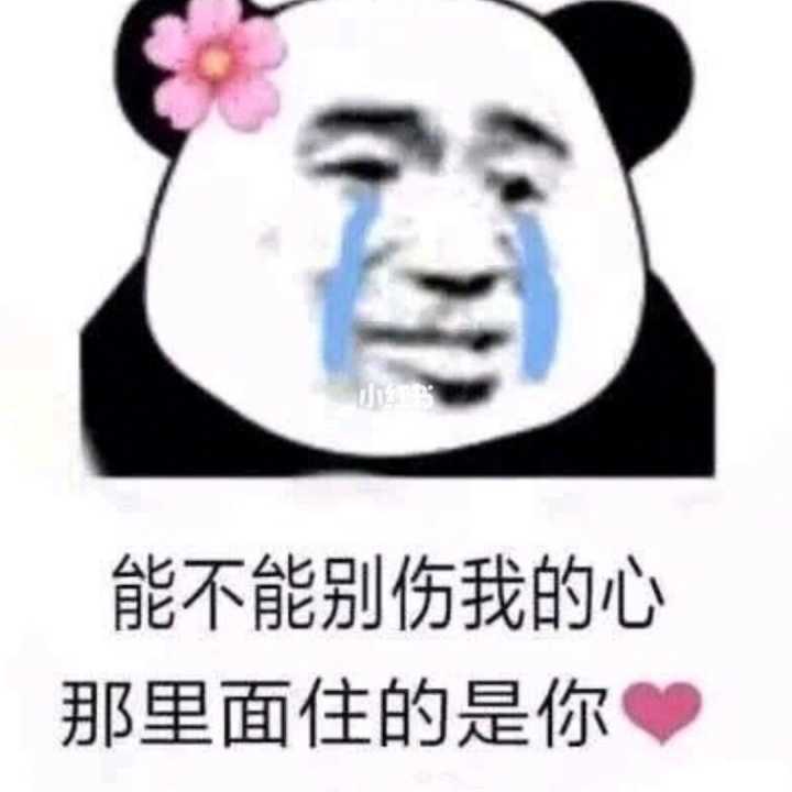 有什么撩女生的情话和表情包?