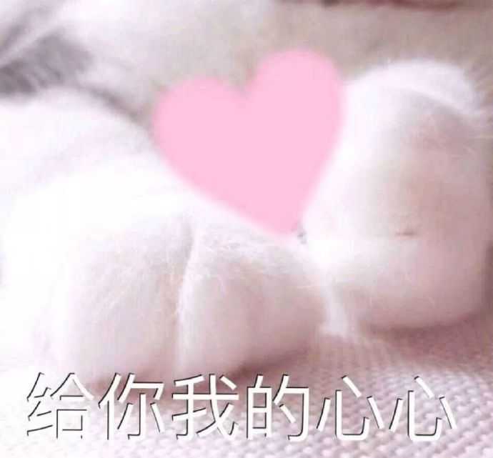 有什么撩女生的情话和表情包?