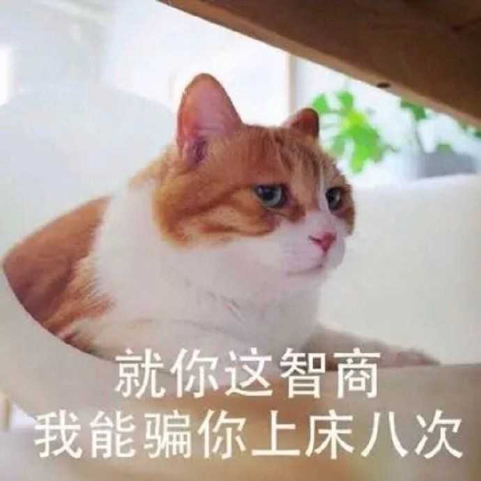 有什么撩女生的情话和表情包?