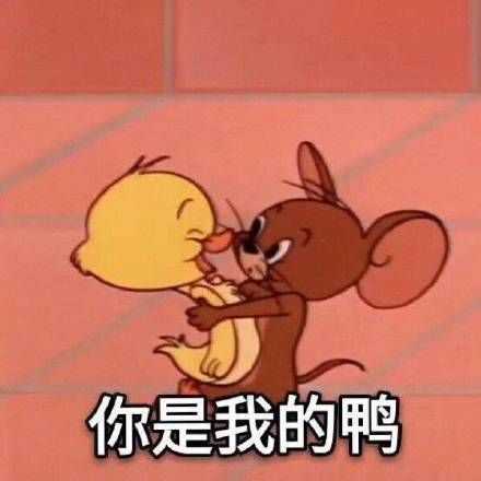 有什么撩女生的情话和表情包?