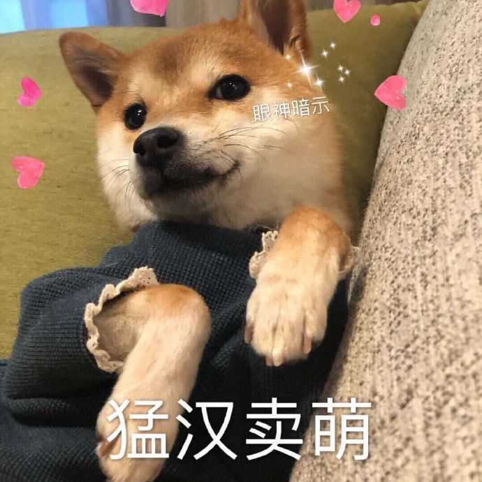 有什么撩女生的情话和表情包?