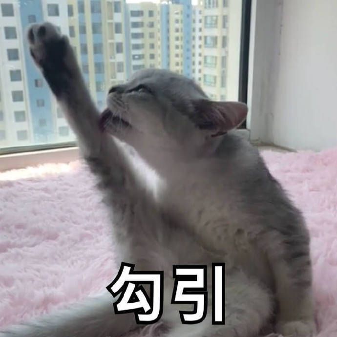 有什么撩女生的情话和表情包?