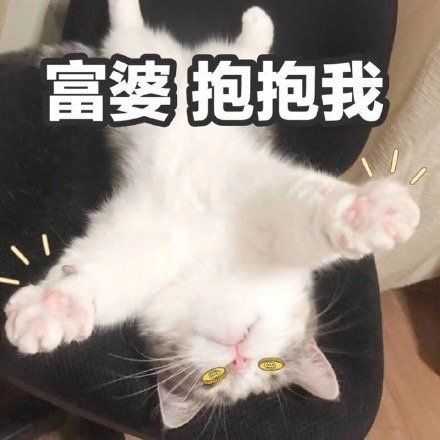 有什么撩女生的情话和表情包?