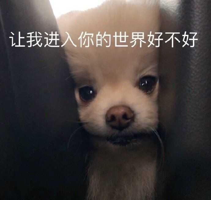 有什么撩女生的情话和表情包?