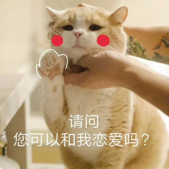 有什么撩女生的情话和表情包?