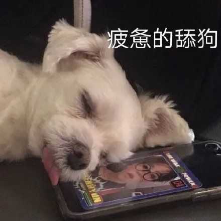 有什么撩女生的情话和表情包?