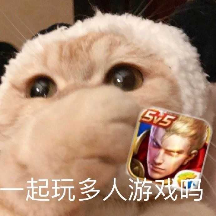 有什么撩女生的情话和表情包?