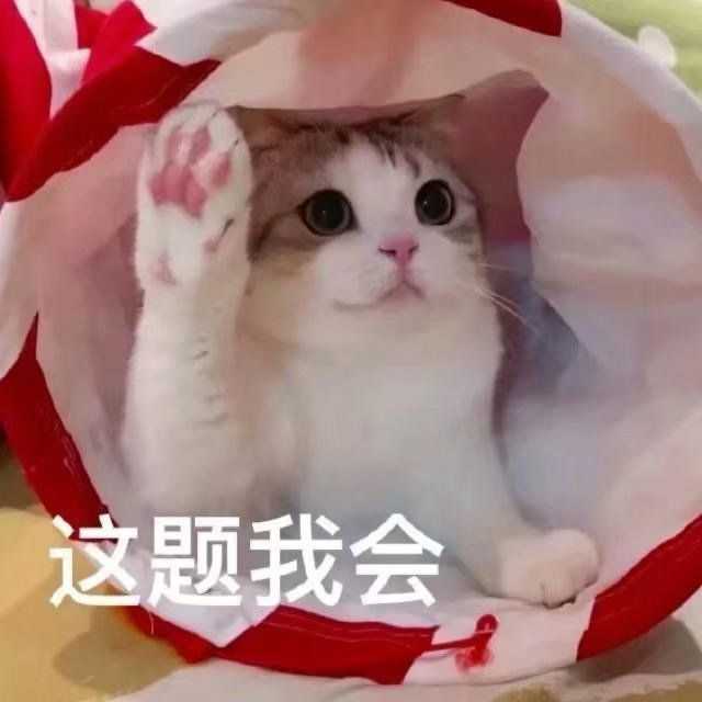 有什么撩女生的情话和表情包?