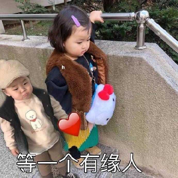 有什么撩女生的情话和表情包?