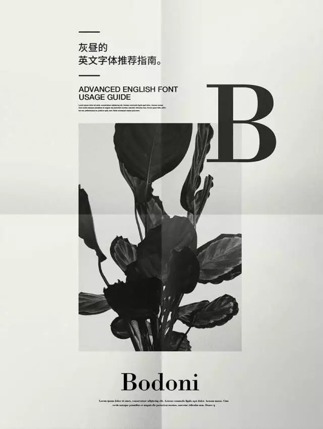 灰昼的字体库！10款常用的经典基础英文字体推荐（已打包）