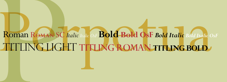 超赞!网页设计中最常见的30款英文字体