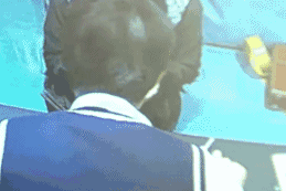 聚焦:我和我弟弟三唑仑迷奸了我们妈妈